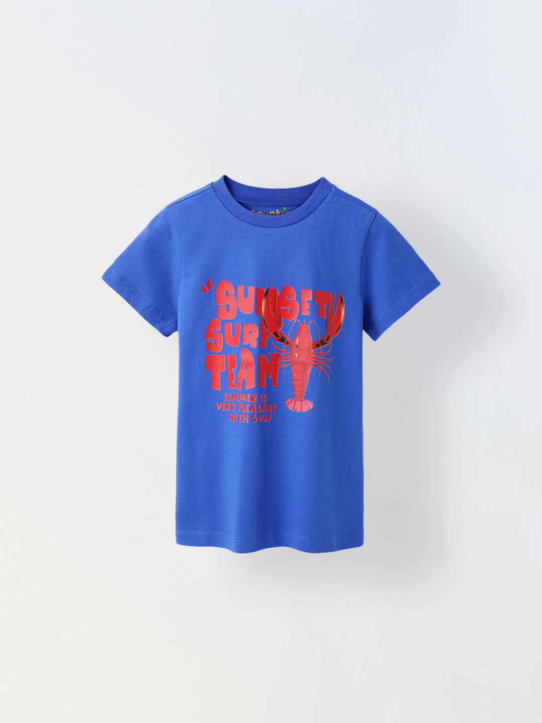 Blue Printed Half Sleeve T-shirt